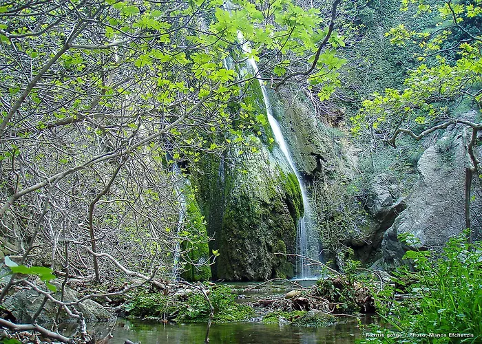 Skala Portview Studio